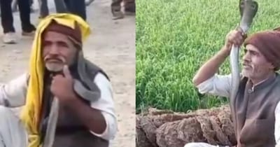 कोबरा से खेल रहे शख्स का वीडियो वायरल.