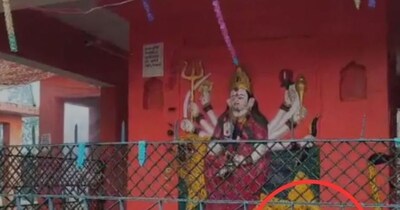 बिजनौर में कुत्ता लगातार कर रहा परिक्रमा.