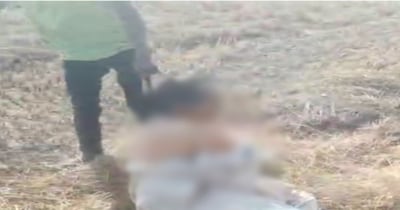 तमनार हिंसा का वीडियो सामने आया है.