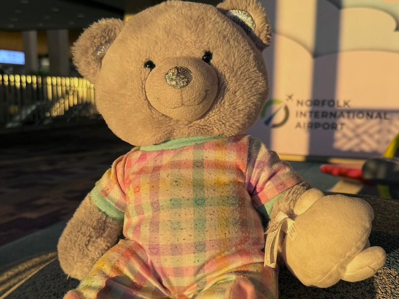 Teddy Bear Airport, USA