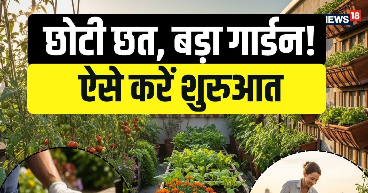 Terrace Gardening Tips : छोटा है घर लेकिन बड़े बगीचे की है चाहत? इन 10 ...