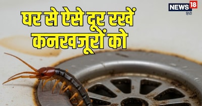 इन घरेलू उपायों की मदद से आप घर में घुसने वाले कनखजूरों को आने से रोक सकते हैं.