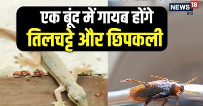 इस घोल को बच्चों और पालतू जानवरों की पहुंच से दूर रखें.
