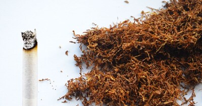 तंबाकू खाने से भी कई तरह के कैंसर का खतरा बढ़ जाता है.