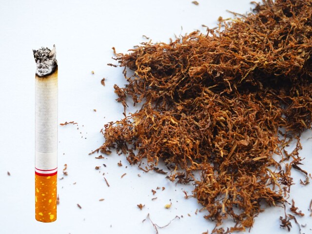 তামাক খাওয়া কি সিগারেট খাওয়ার চেয়ে বেশি বিপজ্জনক? ৫টি তথ্য জানলে চমকে যাবেন