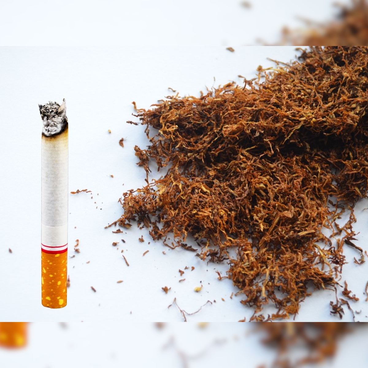 tobacco shops online Cigar Store Online