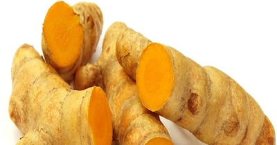 हल्दी की खेती