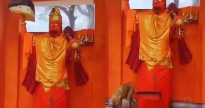 कुत्ते को थी न्यूरो की समस्या. 