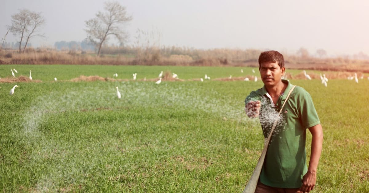 किसानों के लिए एक अच्‍छी और एक बुरी खबर! जल्‍द बढ़ सकते हैं यूरिया के दाम, सब्सिडी में भी हो सकता है बदलाव