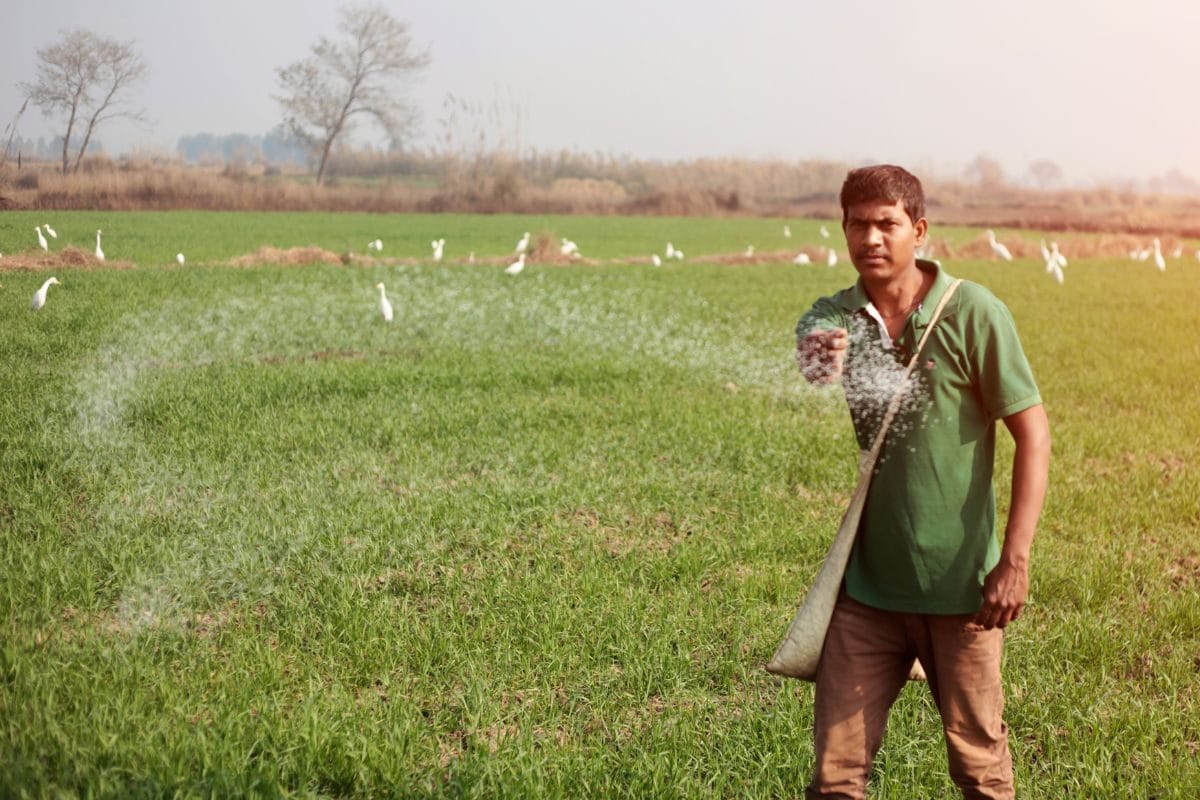 किसानों के लिए एक अच्‍छी और एक बुरी खबर! जल्‍द बढ़ सकते हैं यूरिया के दाम सब्सिडी में भी हो सकता है बदलाव