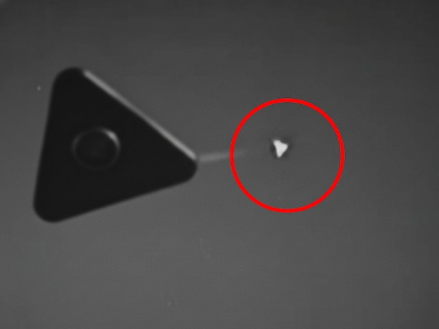 Mysterious plane seen over Area-51, Trump's secret plane or alien?