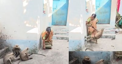 वायरल दादी.