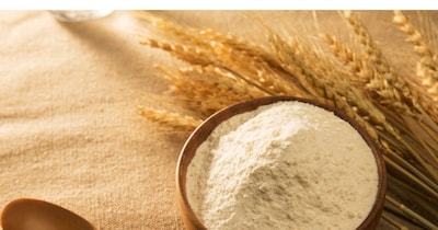 भारत सरकार ने 3 साल बाद गेहूं निर्यात की अनुमति दी है.  