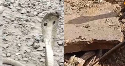 प्रतिकात्मक तस्वीर