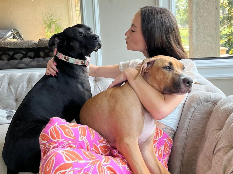 woman take care of dogs