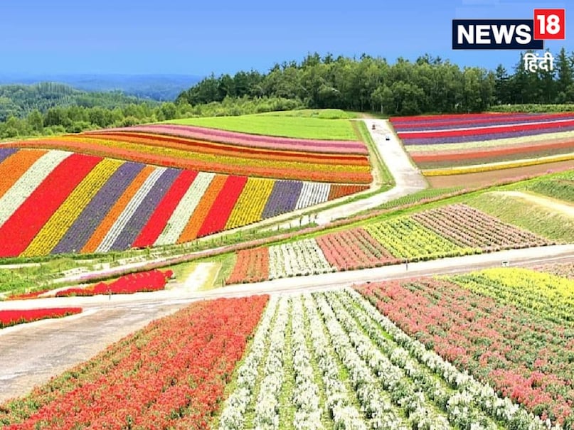दिल्ली डेवलपमेंट अथॉरिटी राजधानी में यमुना वाटिका लांच करने की तैयारी कर रही है. 450 एकड़ में फैला यह यमुना रिवर साइड अनूठा पार्क होगा, जिसमें तीन लेयर फूलों की डिजाइन होगी और तमाम तरह के फूल और करीब 8000 तरह के पेड़-पौधे यहां मौजूद रहेंगे. यमुना किनारे बनने वाले इस पार्क में वॉटर बॉडीज भी होंगी. फिलहाल इसे बनाने की शुरुआत कर दी गई है और यहां बांस के 10 हजार से ज्यादा पौधे लगाए जा चुके हैं. दिल्ली डेवलपमेंट अथॉरिटी राजधानी में यमुना वाटिका लांच करने की तैयारी कर रही है. 450 एकड़ में फैला यह यमुना रिवर साइड अनूठा पार्क होगा, जिसमें तीन लेयर फूलों की डिजाइन होगी और तमाम तरह के फूल और करीब 8000 तरह के पेड़-पौधे यहां मौजूद रहेंगे. यमुना किनारे बनने वाले इस पार्क में वॉटर बॉडीज भी होंगी. फिलहाल इसे बनाने की शुरुआत कर दी गई है और यहां बांस के 10 हजार से ज्यादा पौधे लगाए जा चुके हैं.