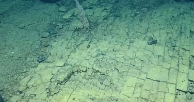 कहां है समुद्र के नीचे पत्थर की रोड? (फोटो: The Ocean Exploration Trust/E/V/Nautilus/YouTube Screenshot)