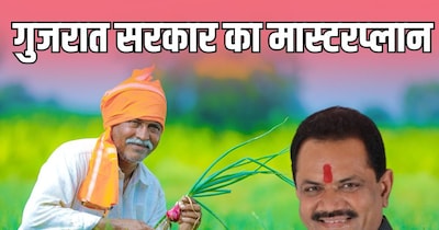 गुजरात का मास्टरप्लान: किसानों को अधिक MSP, 8-लेन सड़क से मिलेगी राहत