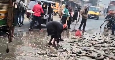 सीतामढ़ी में सड़क हादसा.