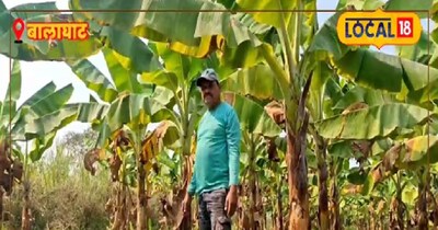 एक खेत में दो फसलें आसानी से उगाई जा सकती हैं.