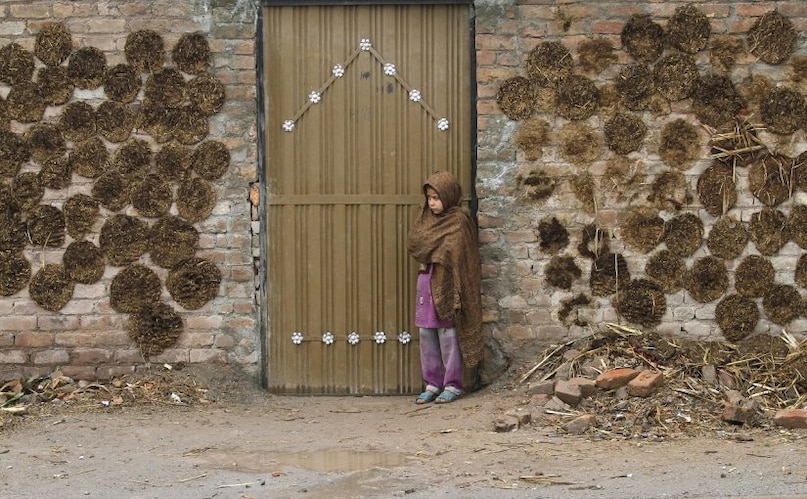 Karnataka Cow Dung, cow dung export, गोबर निर्यात, cow dung products, गोबर उत्पाद, organic fertilizer export, जैविक खाद निर्यात, biogas from cow dung, गोबर से बायोगैस Karnataka Cow Dung, cow dung export, गोबर निर्यात, cow dung products, गोबर उत्पाद, organic fertilizer export, जैविक खाद निर्यात, biogas from cow dung, गोबर से बायोगैस