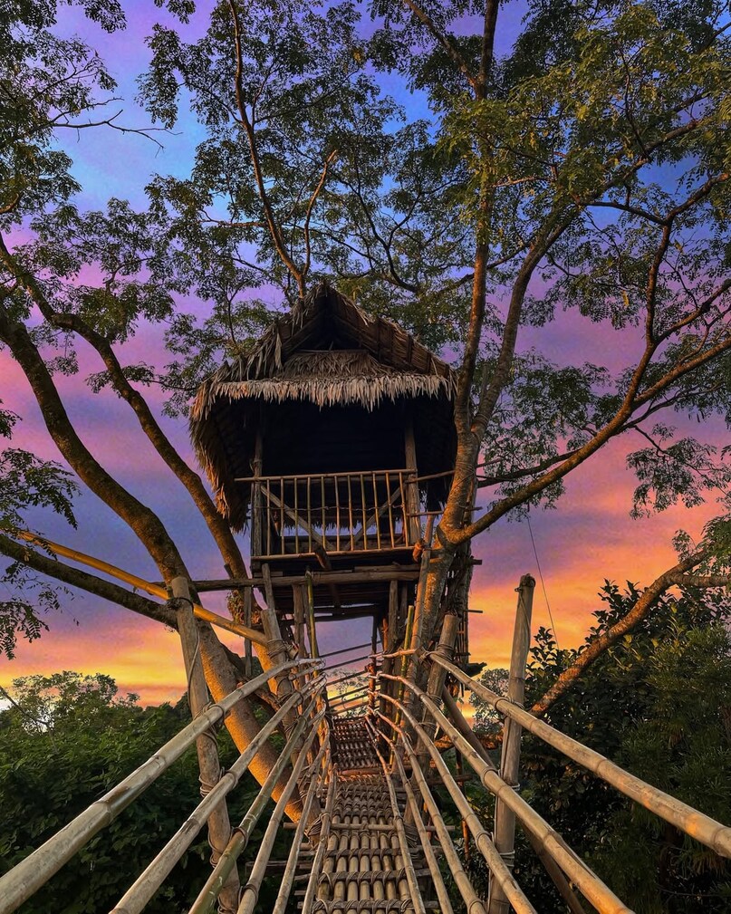 Mawlynnong – Asia’s Cleanest Village: This eco-friendly village impresses with its cleanliness, bamboo pathways, and homestays. Visitors can enjoy local hospitality, explore living root bridges, and immerse in Meghalaya’s sustainable rural lifestyle.