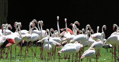 Best Place To See Birds