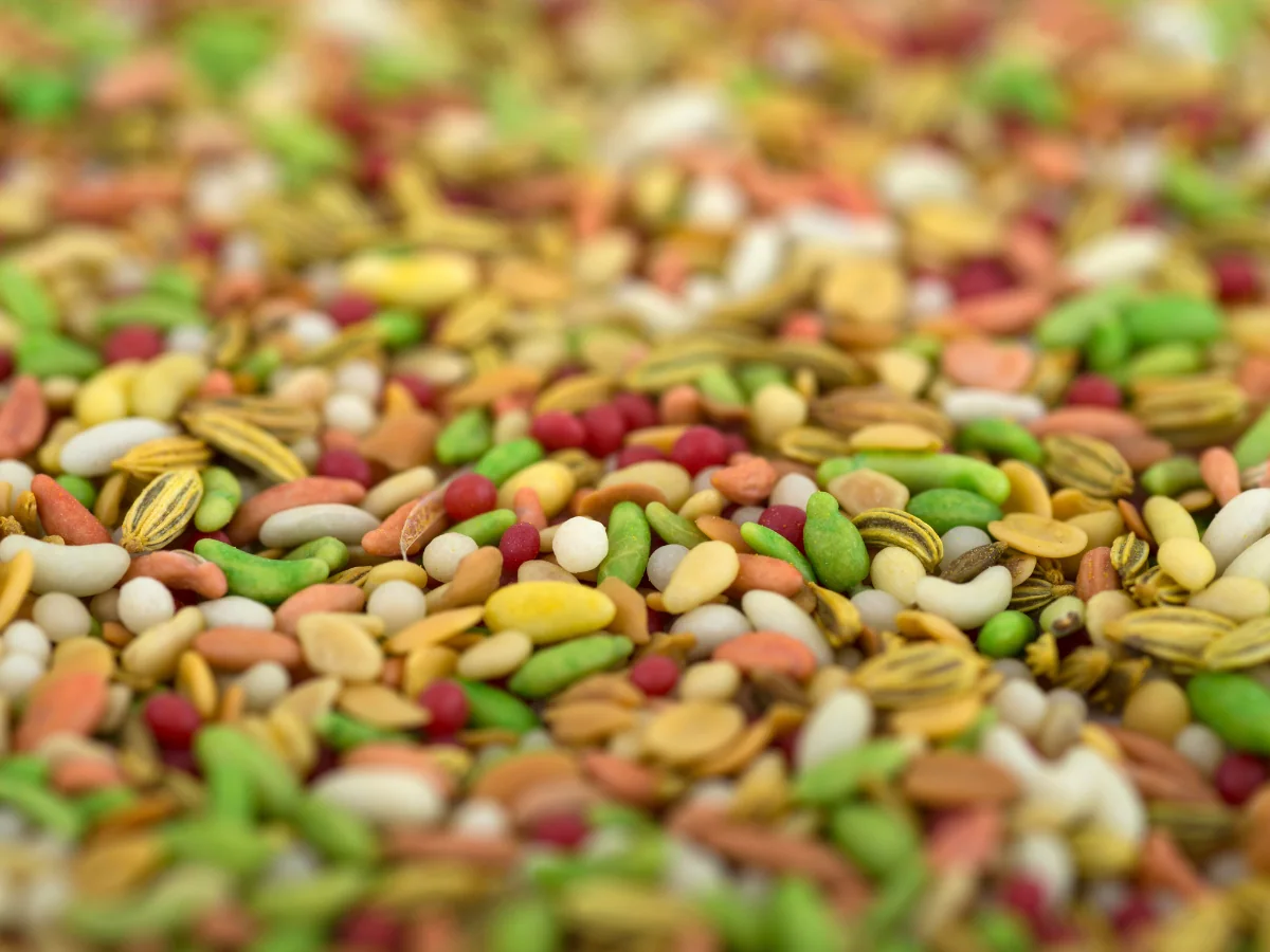 তিনি শুধু একজন সম্মানিত ব্যক্তিই নন, তিনি একজন মহান স্বাস্থ্য বিশেষজ্ঞও। বিশেষ করে আপনি যদি আপনার শরীরের আকারের সাথে কিছু জিরা যোগ করেন তবে এটি শরীরের জন্য একটি জাদুকরী ওষুধের মতো কাজ করে। আসুন, বা সাধারণ চেহারার নিচে জমাট বাঁধার উপকারিতা সম্পর্কে জেনে নিন।