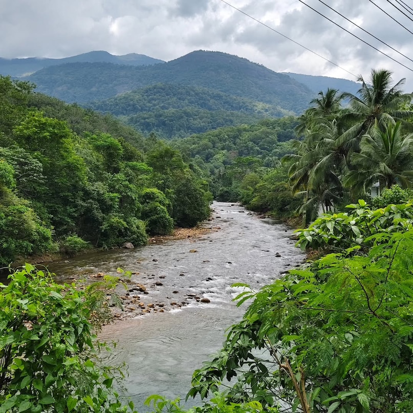 Thiruvananthapuram’s year-round greenery is sustained by tropical forests, gardens, and careful city planning. The city’s palm trees, parks, and protected green areas distinguish it from other urban landscapes in India.