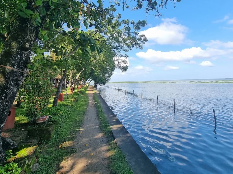 Its steady tropical rains, lush vegetation, thriving coastal ecosystems, and government initiatives for green conservation help maintain its natural beauty throughout the year. The Western Ghats further enhance ecological diversity and promote fresh air circulation.