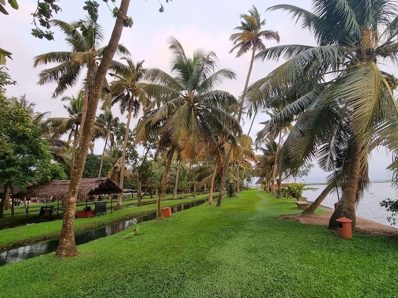 Thiruvananthapuram is adorned with coconut groves, botanical gardens, forest belts, and landscaped parks. Its abundant greenery harmoniously coexists with cultural and administrative areas, creating a refreshing natural oasis uncommon in urban India.