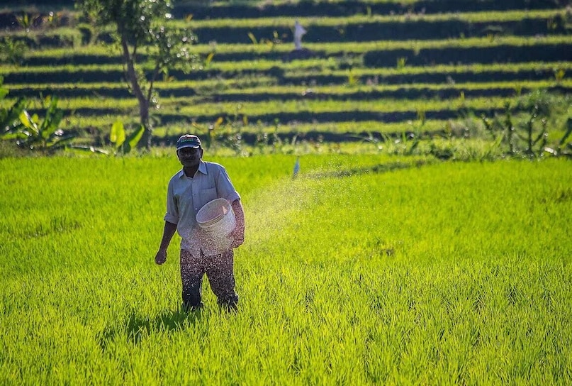 pm kisan yojana, pm kisan, pm kisan news, pm kisan 22nd kisht, pm kisan 22nd installment