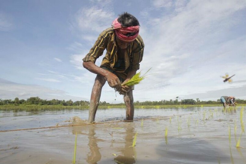 pm kisan yojana, pm kisan, pm kisan news, pm kisan 22nd kisht, pm kisan 22nd installment