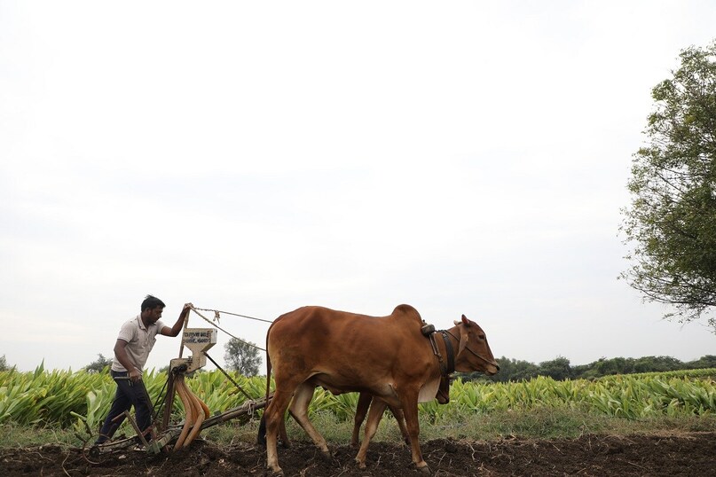pm kisan yojana, pm kisan, pm kisan news, pm kisan 22nd kisht, pm kisan 22nd installment