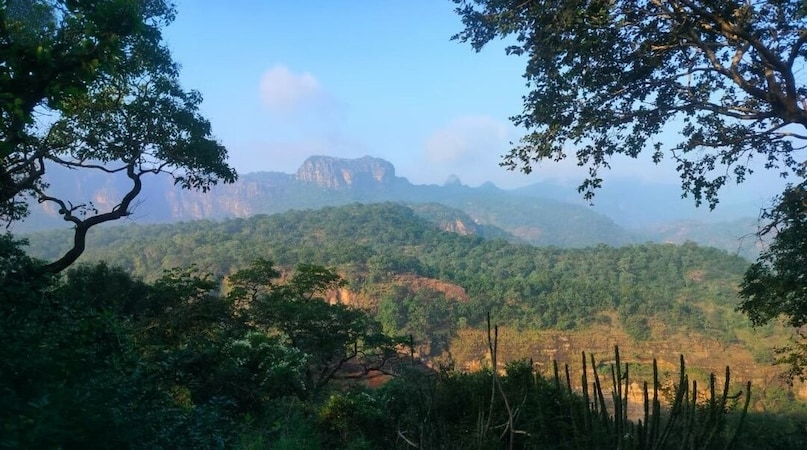 GK: Which State Is Called The Tiger State Of India? GK: Which State Is Called The Tiger State Of India?