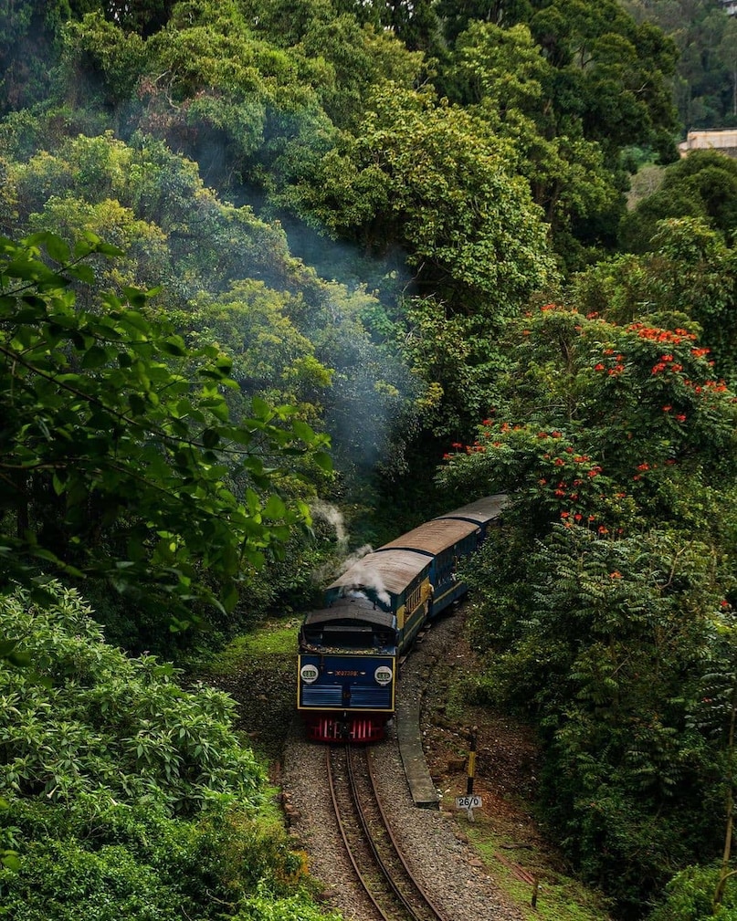 Ooty: Ooty remains a timeless favorite with its colonial architecture and Nilgiri Mountain Railway. A boat ride on Ooty Lake or a quiet afternoon in the Botanical Gardens provides the perfect setting for old-school romance amidst the cool, crisp mountain air.