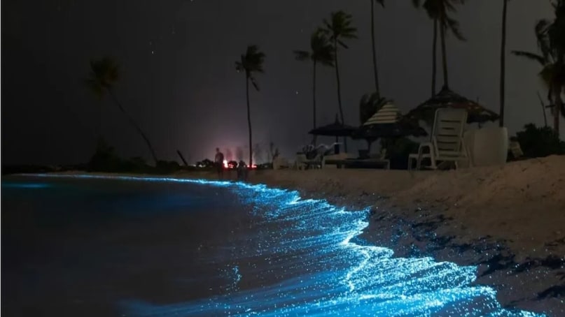 India's Coastal Magic: Beaches That Glow In The Dark