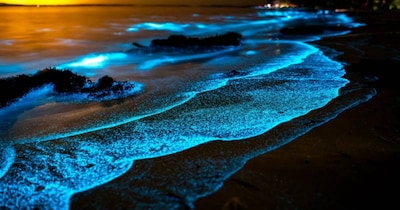 अंधेरे में चमकते हैं भारत के ये 7 समुद्र तट, बेहद खूबसूरत नजारा!