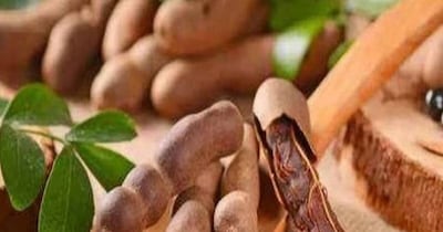 इमली: किन लोगों को भूलकर भी नहीं खानी चाहिए? एक्सपर्ट ने बताए चौंकाने वाले खतरे.