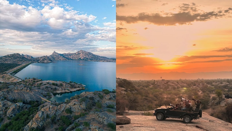 Jawai: Near the Aravalli Range, Jawai offers a unique wildlife experience where leopards live harmoniously among local Rabari tribes. In February, the granite landscape is perfect for safaris. You can also spot migratory birds and crocodiles near the scenic Jawai Dam.