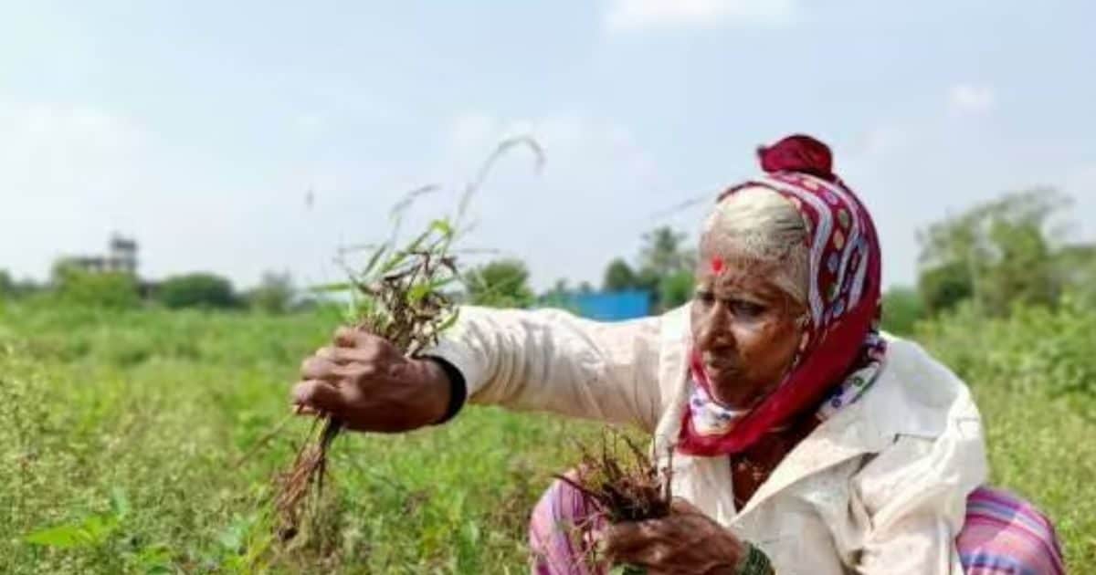 खरीफ सीजन से पहले खेतों में नहीं कराया ये काम तो पड़ेगा महंगा, उत्पादन पर असर
