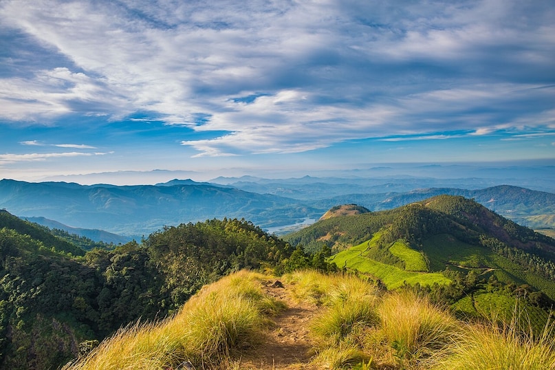  Kolukkmalai, Idukki: Home to the highest tea estate in the world, Kolukkumalai is accessible only by a rugged jeep ride. The sunrise here is legendary, as you watch the clouds float below the peaks while sipping tea processed in a century-old factory.