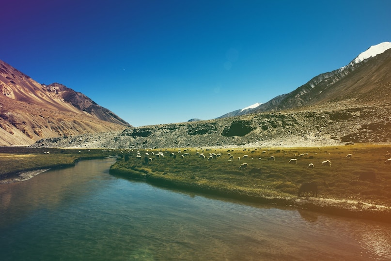 अपने ऊंचाई वाले रेगिस्तानों, बर्फ से ढके पहाड़ों और साफ नीले आसमान के साथ, लद्दाख तिब्बत के नाटकीय परिदृश्य को प्रतिबिंबित करता है। इस क्षेत्र के रीति-रिवाज, इसके व्यंजनों से लेकर इसके त्योहारों तक, तिब्बती संस्कृति से गहराई से प्रभावित हैं। अपने ऊंचाई वाले रेगिस्तानों, बर्फ से ढके पहाड़ों और साफ नीले आसमान के साथ, लद्दाख तिब्बत के नाटकीय परिदृश्य को प्रतिबिंबित करता है। इस क्षेत्र के रीति-रिवाज, इसके व्यंजनों से लेकर इसके त्योहारों तक, तिब्बती संस्कृति से गहराई से प्रभावित हैं।