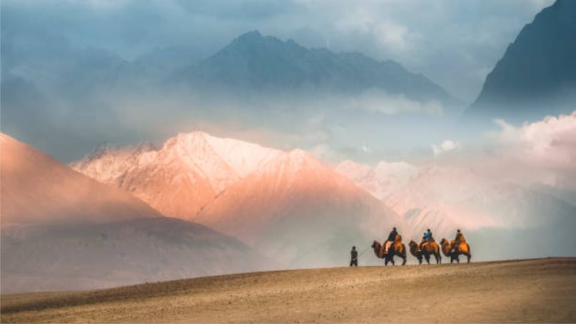 नुब्रा घाटी: नुब्रा घाटी, अपने विशाल परिदृश्य, रेत के टीलों और दोहरे कूबड़ वाले ऊंटों के साथ, लद्दाख में एक अद्वितीय गंतव्य के रूप में सामने आती है। घाटी में रेगिस्तानी इलाके और बर्फ से ढकी चोटियों का एक आश्चर्यजनक मिश्रण है, साथ ही पहाड़ियों पर बने मठ इसके शांतिपूर्ण आकर्षण को बढ़ाते हैं। नुब्रा घाटी: नुब्रा घाटी, अपने विशाल परिदृश्य, रेत के टीलों और दोहरे कूबड़ वाले ऊंटों के साथ, लद्दाख में एक अद्वितीय गंतव्य के रूप में सामने आती है। घाटी में रेगिस्तानी इलाके और बर्फ से ढकी चोटियों का एक आश्चर्यजनक मिश्रण है, साथ ही पहाड़ियों पर बने मठ इसके शांतिपूर्ण आकर्षण को बढ़ाते हैं।