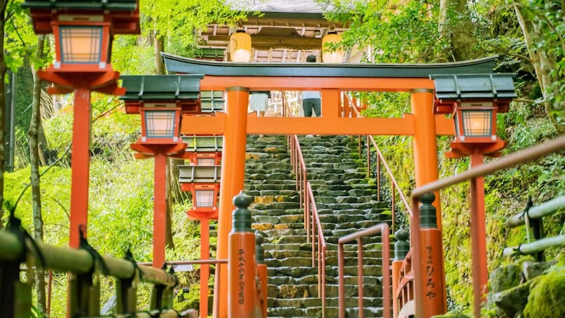 Kyoto, Japan: March marks the beginning of the iconic cherry blossom season. Wander through historic temples as delicate pink petals fall like snow. The city feels ethereal, blending ancient tradition with nature’s rebirth in a truly spectacular, world-renowned floral display. (Image: X)