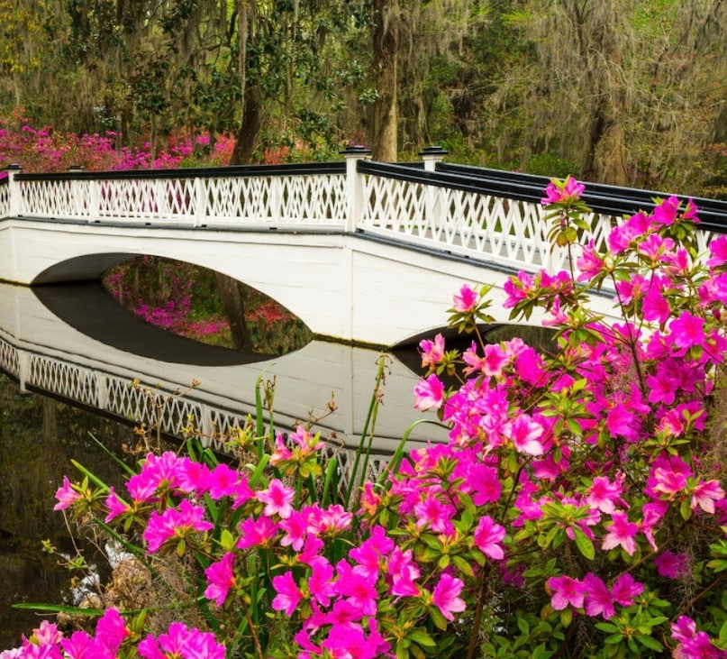  Charleston, USA: Charleston blooms beautifully in March. The historic city is comfortable and inviting, with azaleas colouring the streets and antebellum architecture standing proud. It is an ideal window to enjoy walking tours, southern hospitality, and some of the country's best food.