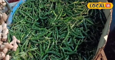 डॉ. आमिर अनवर का कहना है कि हरी मिर्च का सेवन सदियों से होता आ रहा है. कभी खाने के साथ तो कभी सलाद के साथ लोग हरी मिर्च का सेवन करते हैं. उन्होंने बताया कि हरी मिर्च में बहुत सारे पोषक तत्व पाए जाते हैं, जिसमें मैग्नीशियम, आयरन, पोटैशियम आदि शामिल हैं. यह हार्ट के हेल्थ के लिए भी काफी लाभकारी है.