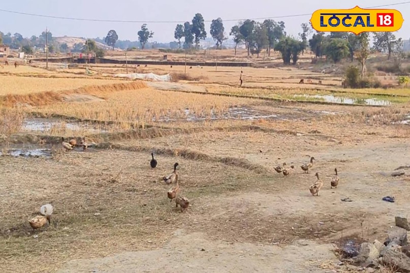 सक्सेस स्टोरी