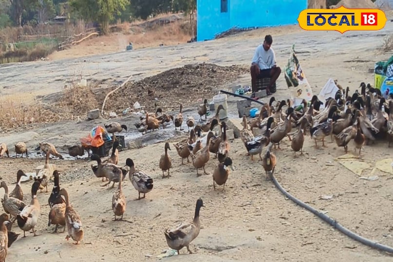 सक्सेस स्टोरी