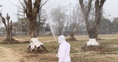 बर्ड फ्लू का खतरा